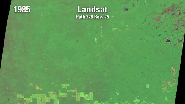 Wycinka Chaco z 1985 r. Źródło: Landsat/NASA