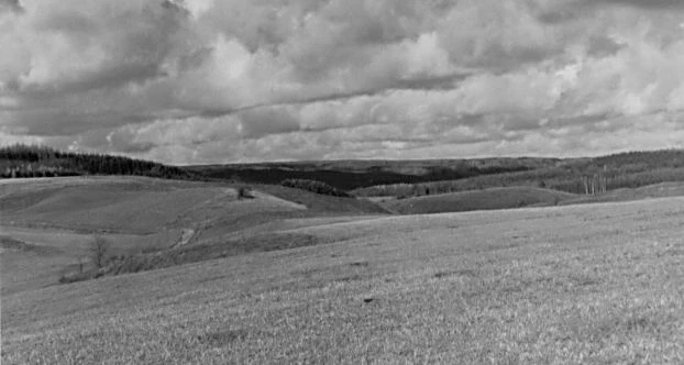 Fot. Michał Kłaczkowski