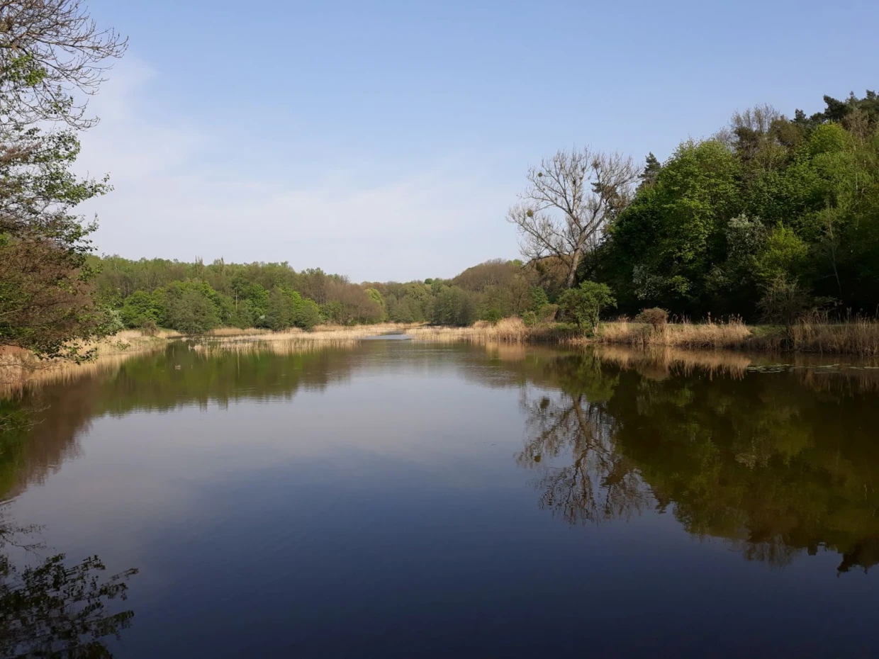 Staw Olszak w wiosennej krasie. Fot. Bartosz Świątek