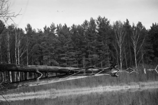 Fot. Bolesława Kazimiera Płachta
