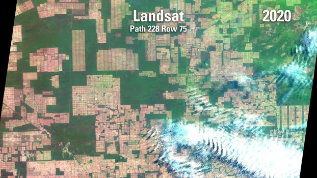 Wycinka Chaco z 2020 r. Źródło: Landsat/NASA