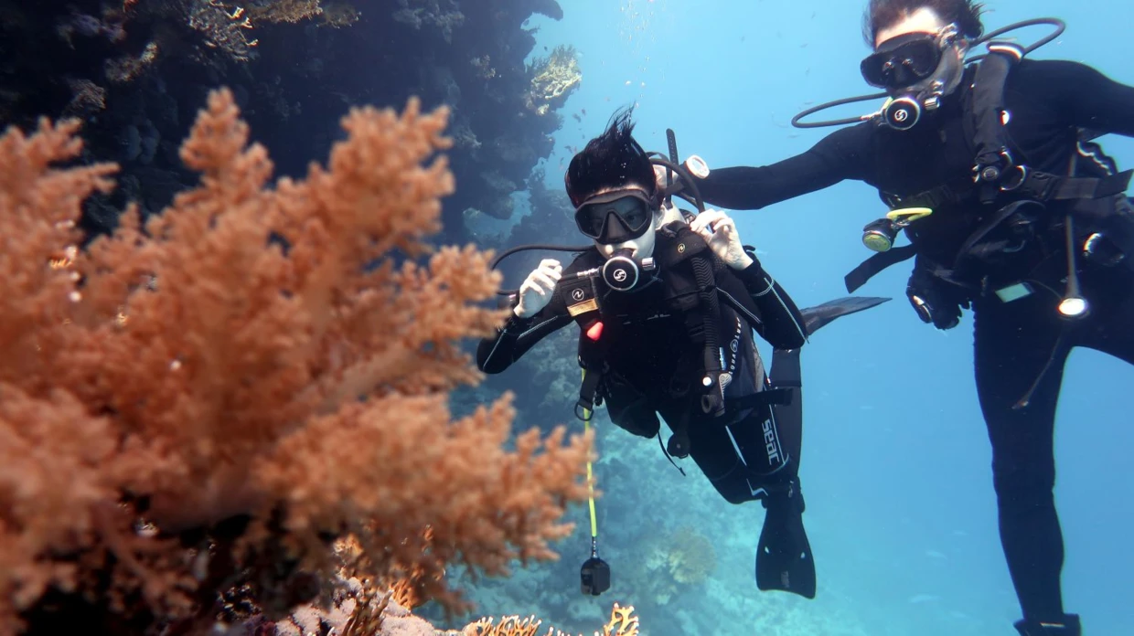 Nurkuje moja podopieczna Emilia. Fot. Jakub Rączek