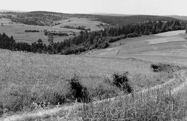 Fot. Katarzyna Krasuska