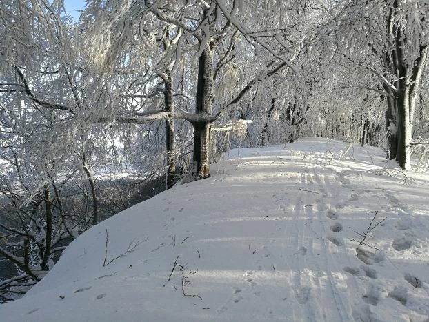 Grzbiet Cergowej, styczeń 2019 r. Fot. Grzegorz Bożek