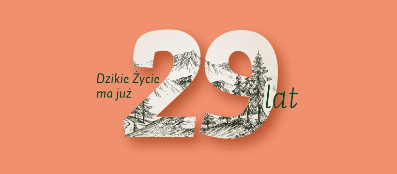 DZ-29-facebook_tlo-dz