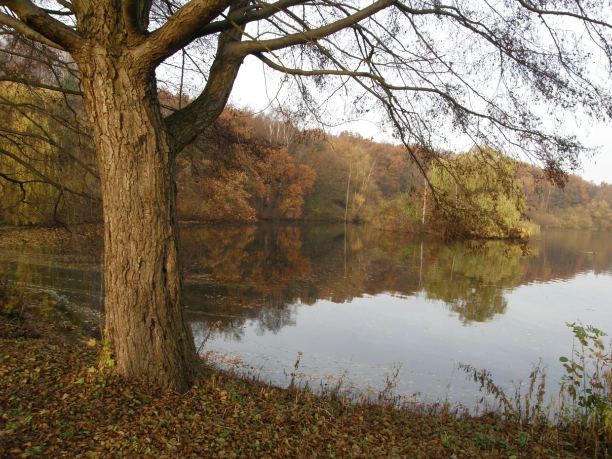 Jesienna szata jednego ze stawów w Nowym Zoo. Fot. Bartosz Świątek