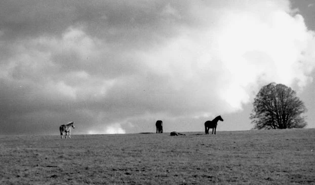 Fot. Dariusz Matusiak