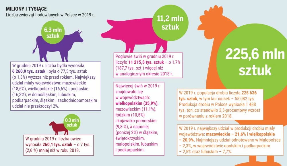 Źródło: Przetwórstwo produktów pochodzenia zwierzęcego w Polsce w latach 2010–2016, Instytut Ekonomiki Rolnictwa i Gospodarki Żywnościowej – Państwowy Instytut Badawczy. Warszawa 2017