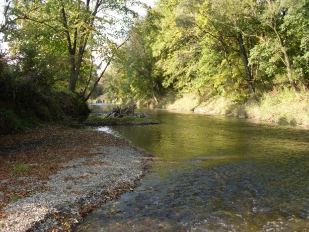 Zakole Wisłoka, tzw. Sztuki, jedno z cenniejszych przyrodniczo miejsc w Krośnie, październik 2009 r. Fot. Grzegorz Bożek
