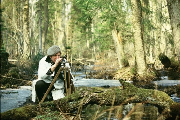 
Prace badawcze w Puszczy Białowieskiej, lata 70. Fot. Archiwum prof. Ludwika Tomiałojcia
