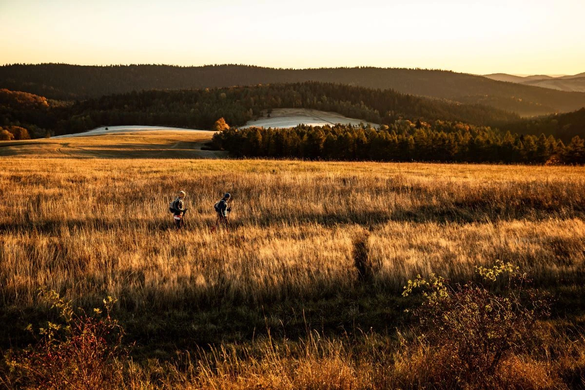 Łemkowyna Trail, 2024 rok. Fot. Ariel Wojciechowski