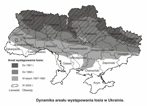 Dynamika areału występowania łosia w Ukrainie, źródło: Smagol W.M., Gawryś G.G., Salgański O.O., 2012, Rozmieszczenie i liczebność łosia Alces alces (Mammalia, Artiodactyla) na początku XXI wieku, Wistnyk Zoologii, Nr 2, ss. 161-166