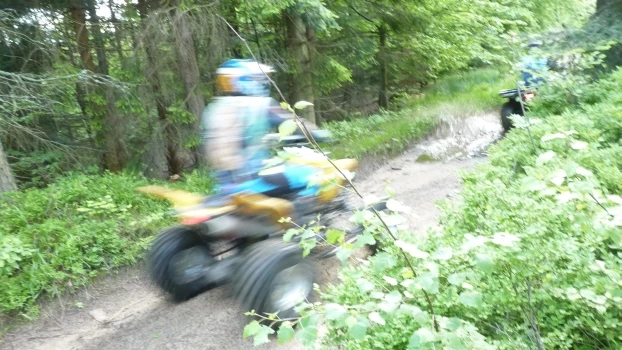 Zdjęcie wykonane 2 czerwca 2019 r. na szlaku turystycznym biegnącym od Przełęczy Kocierskiej na Potrójną. Fot. Józef Radwan