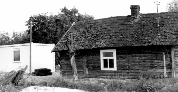 Fot. Krzysztof Mazurkiewicz