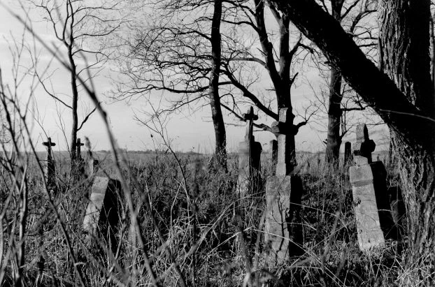 Dźwiniacz – cmentarz bojkowski w nieistniejącej wsi. Fot. Jacek Zachara