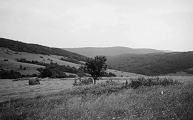 Beskid Niski. Fot. Grzegorz Bożek