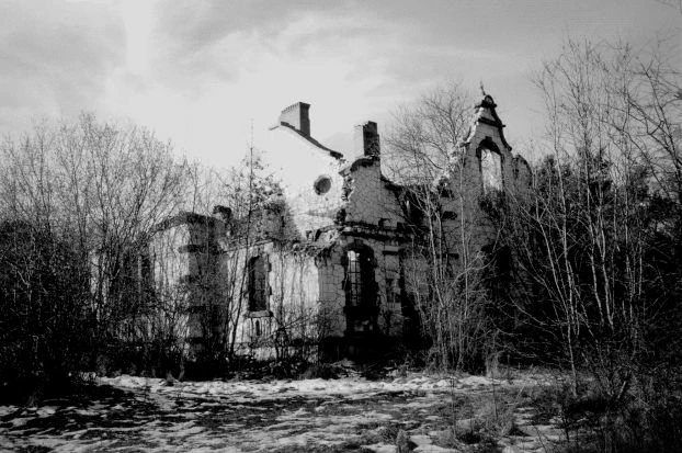 Fot. Andrzej Ginalski