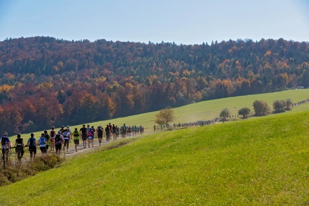 Beskid Niski, Puławy Górne, droga do lasu, 2018 r. Fot. Karolina Krawczyk