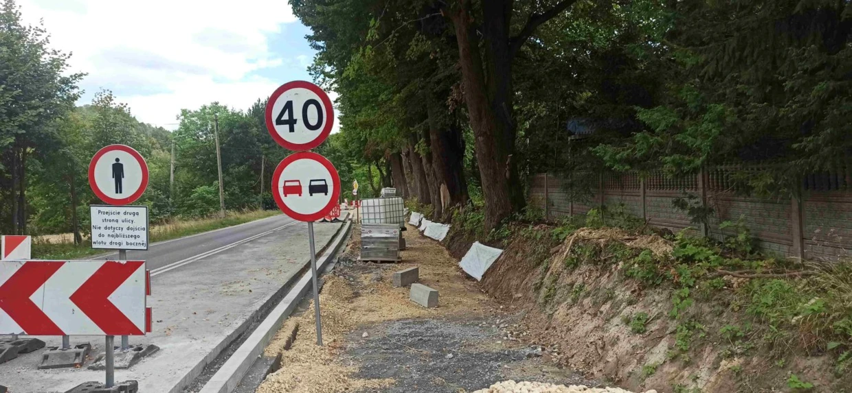 Standardowa budowa chodnika wzdłuż szpaleru drzew (Smoleń, Ostoja Środkowojurajska). Fot. Łukasz Bartuszek