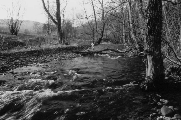 Potok Hulskie w Bieszczadach. Fot. Krzysztof Mazurkiewicz