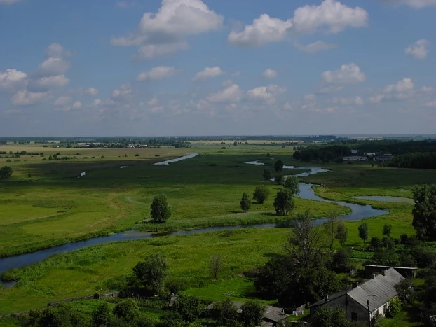 Widok na rzeczkę Leśną, płynącą przez Puszczę Białowieską, z wieży w Kamieńcu. Fot. Janusz Korbel