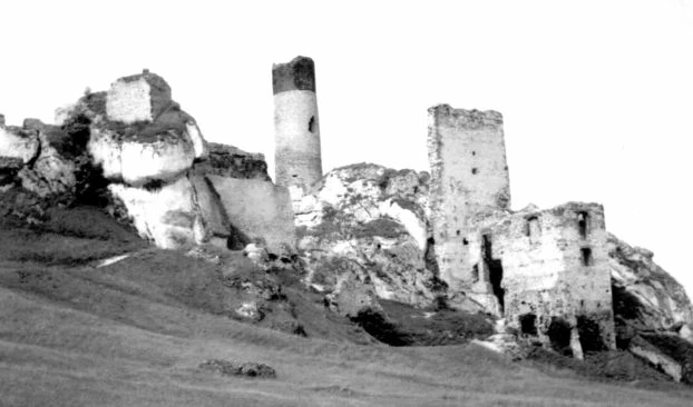 
Ruiny zamku w Olsztynie. Fot. Dariusz Matusiak
