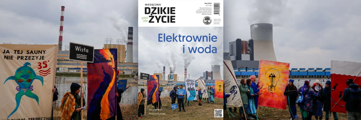2024-05-twitter-dz_tlo