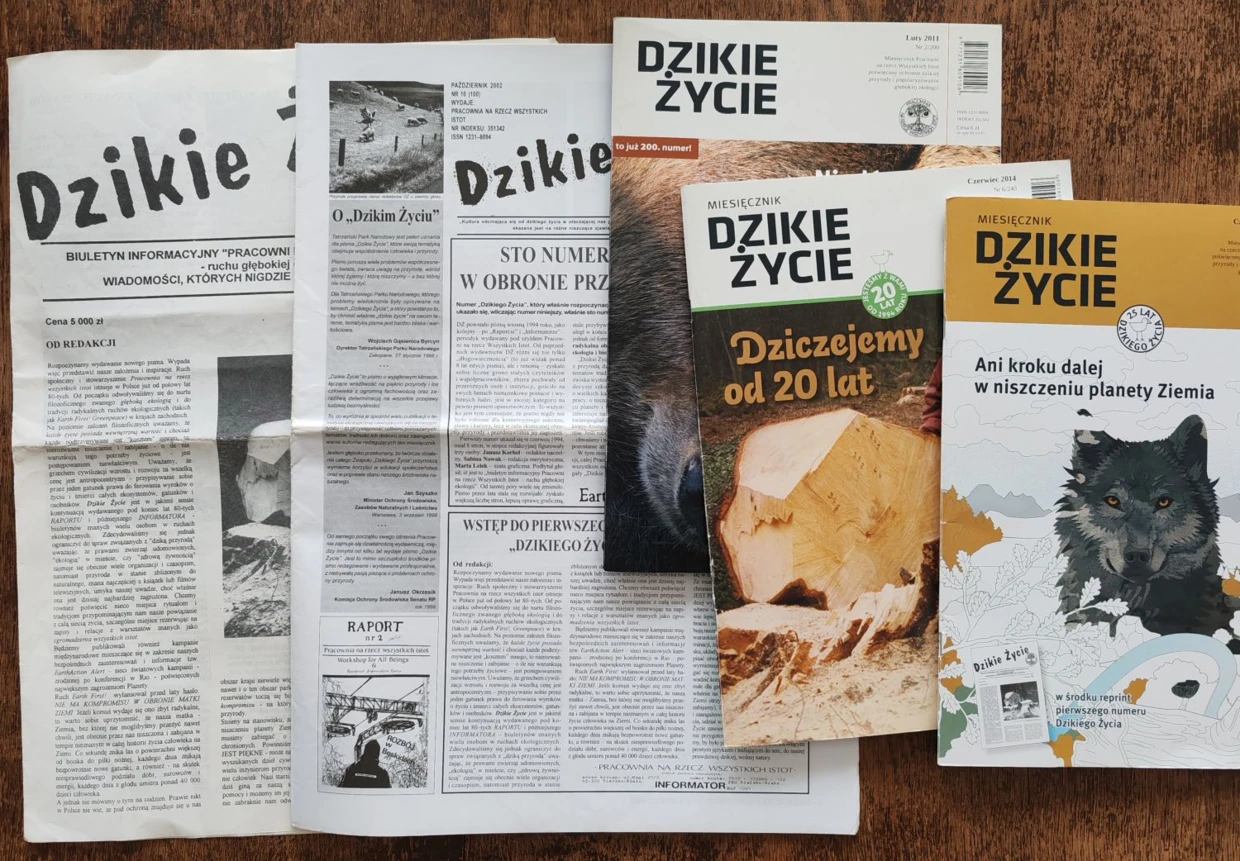 Rocznicowe wydania „Dzikiego Życia” – od lewej: pierwszy numer, 100, 200, na 20-lecie, na 25-lecie (300 numer). Fot. Grzegorz Bożek