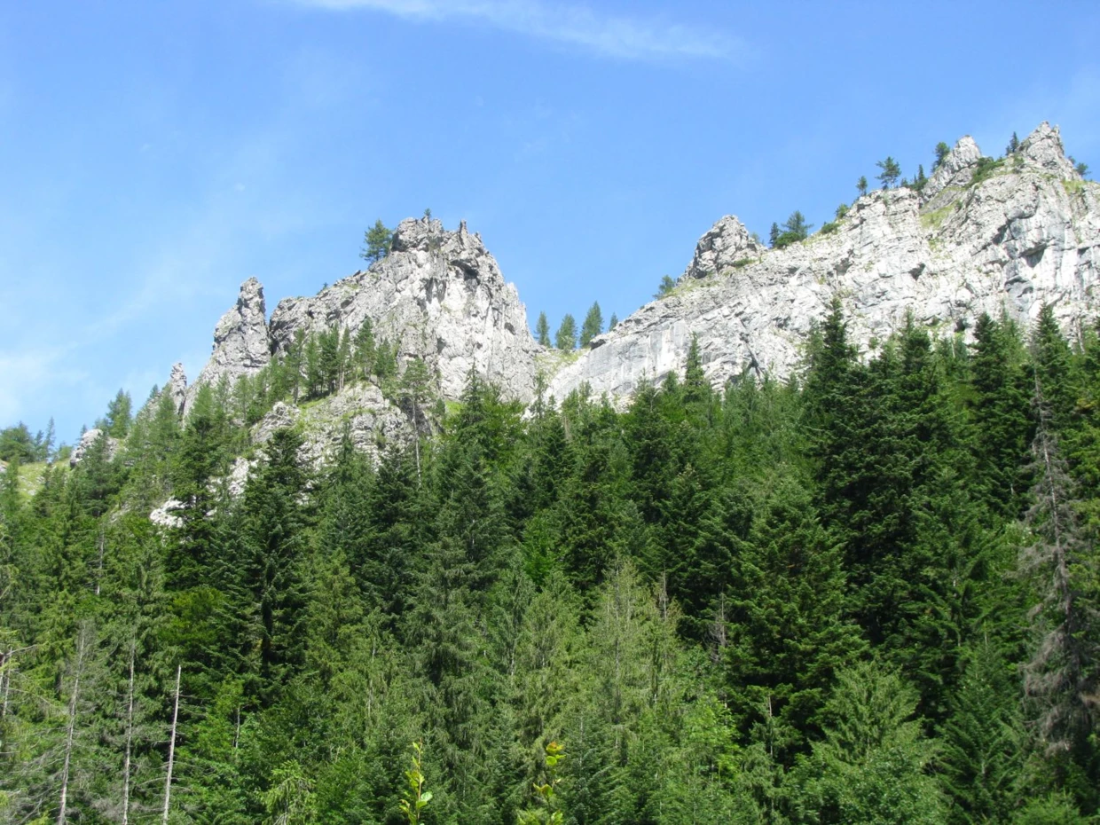 Nosal, widok z Doliny Bystrej. Fot. Anna Maria Ociepa