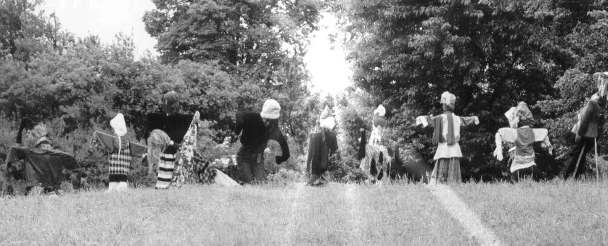 Strachy w słońcu. Fot. Janusz Korbel