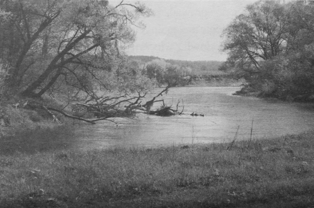 Meandry Bugu. Fot. Rafał Jasiński