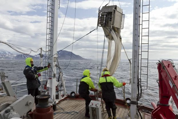 Połów morskiego planktonu z r/v OCEANIA pod Spitsbergenem. W takiej sieci znajdujemy jednorazowo około 100 gatunków drobnych organizmów, spośród ponad 1000 występujących w tym obszarze. Taki drobiazg stanowi 90% różnorodności biologicznej w morzach i jest podstawą funkcjonowania ekosystemu. Fot. Kajetan Deja