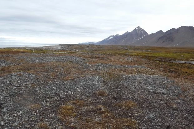 Norwegia to ostatni w Europie obszar „dzikiej Przyrody” z największymi terenami pozbawionymi dróg czy innej infrastruktury, sami mówią o sobie, że mają najlepiej zarządzanie na świecie obszary dzikiej natury. Fot. Jan Marcin Węsławski