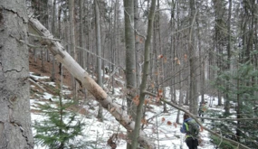 beskid-maly-monitoring-2020-01-02.jpg