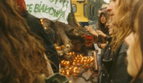 Puszcza Białowieska Warszawa, 1994, pień