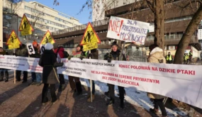 Prawo łowieckie Szyszki do kosza Fot. Karolina Jamska