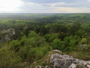 Niedoszły i konsekwentnie dewastowany Jurajski Park Narodowy (Ostoja Złotopotocka). Fot. Łukasz Bartuszek
