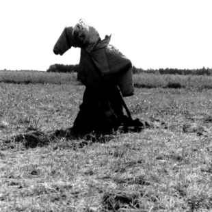 Strach. Fot. Janusz Korbel