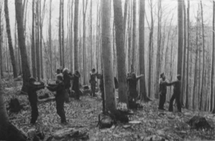 Fot. Radosław Ślusarczyk