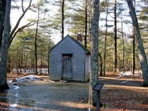 Replika chaty Thoreau położona niedaleko parkingów znajdujących się nieopodal plaży nad stawem Walden, styczeń 2012 r. Fot. Anna Patejuk