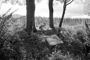 Smolnik nad Sanem, krzyż przydrożny bliżej cerkwi, zdjęcie z 1986 r. Fot. Stanisław Kryciński
