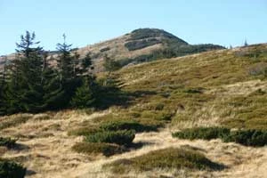 Mała Babia Góra. Fot. Piotr Morawski