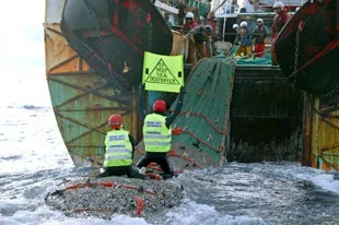 © Greenpeace