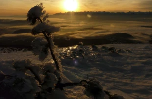 Wschód słońca nad Tatrami z Babiej Góry, 31.12.2023. Fot. Ryszard Kulik