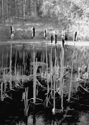 Fot. Dariusz Matusiak