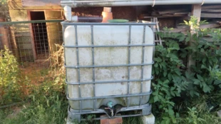 Zbiornik pod rynną to tysiące litrów głębinowej wody jakiej nie zużyjesz do podlewania. Fot Andrzej Jermaczek