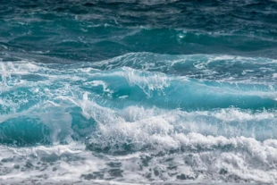 Co najmniej połowa produkcji tlenu na Ziemi pochodzi z oceanów, większość dostarcza plankton oceaniczny. Źródło: pixabay