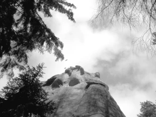 Fot. Barbara Tomaszewicz