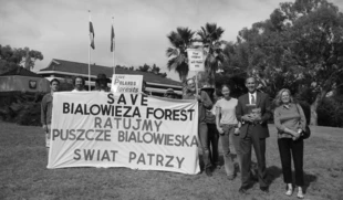 Australijczycy przed polską ambasadą w Canberze