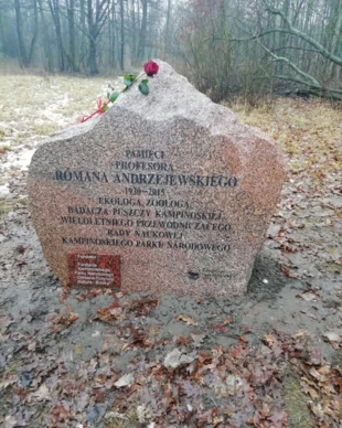 
Famułki Królewskie, kamień upamiętniający profesora. Fot. Wioletta Wawer

